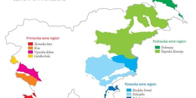 Karta över Slovenien vin